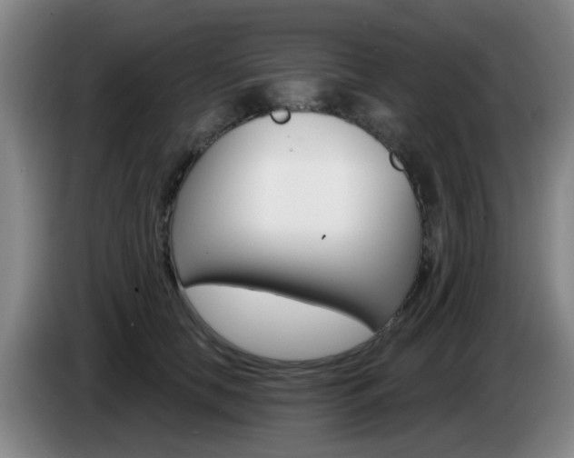 X0000085320658200703091116