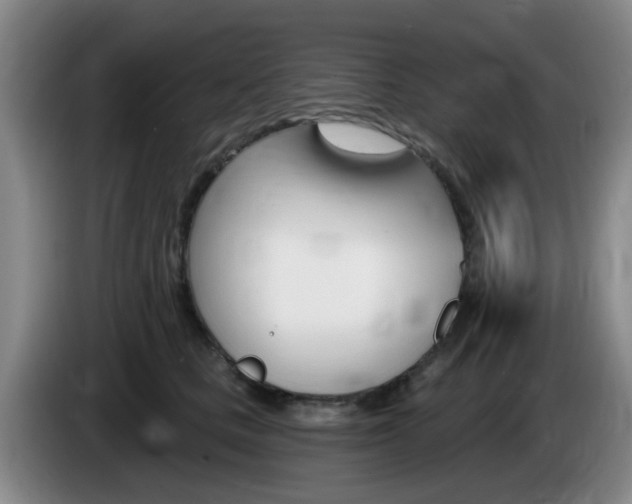 X0000085320661200703091116