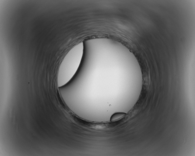 X0000085320662200703091116