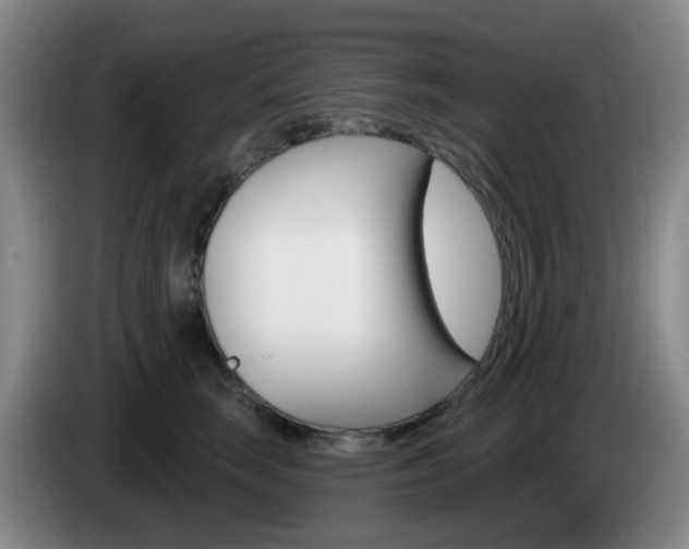 X0000085320663200703091116