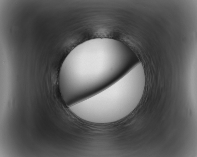 X0000085320665200703091116