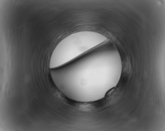 X0000085320669200703091116