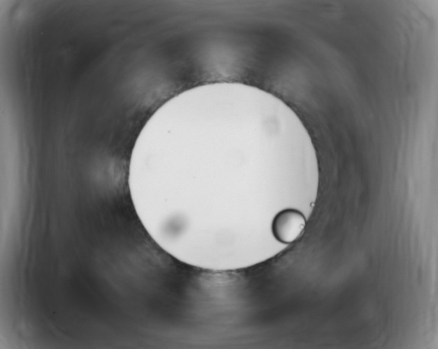 X0000085320672200703091116