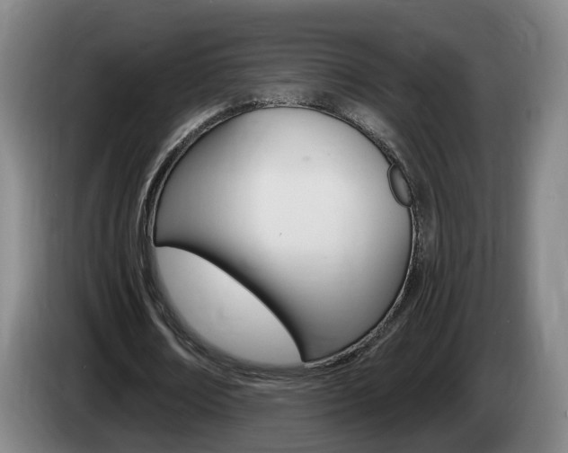X0000085320674200703091115