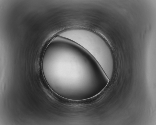 X0000085320677200703091115