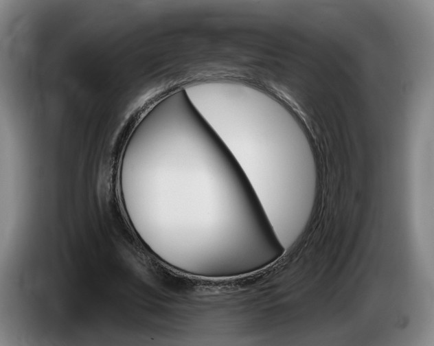 X0000085320679200703091115