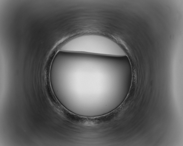 X0000085320684200703091115