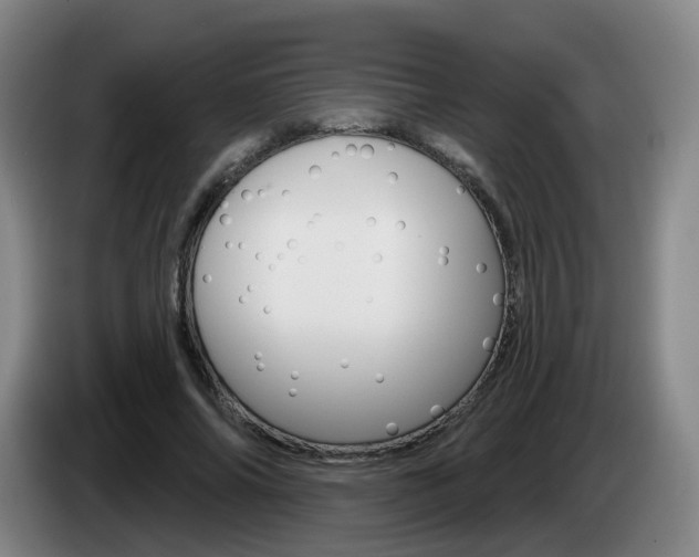 X0000085320686200703091115
