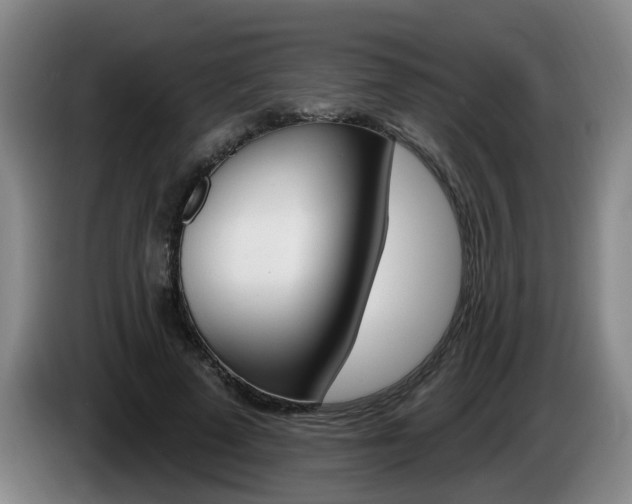 X0000085320689200703091115