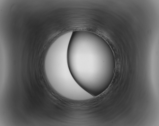 X0000085320692200703091115