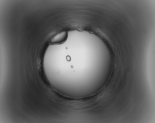 X0000085320693200703091115