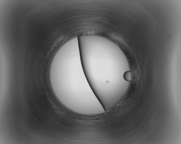 X0000085320694200703091115