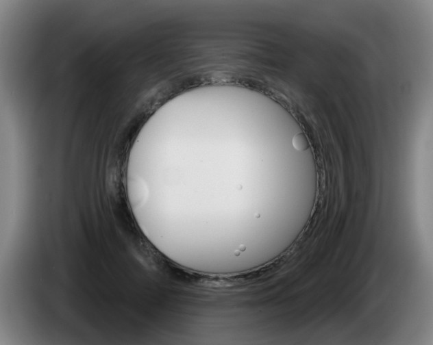 X0000085320698200703091115