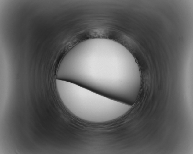 X0000085320699200703091115