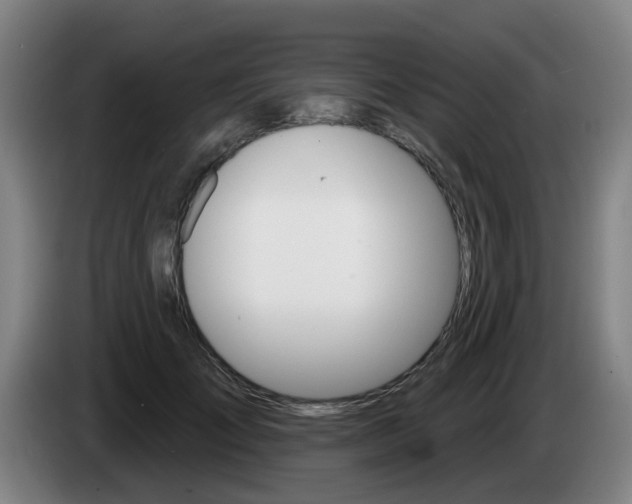 X0000085320701200703091115