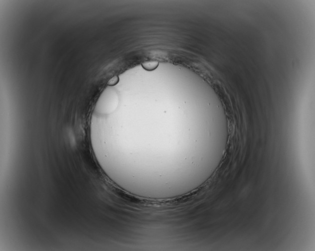 X0000085320702200703091115