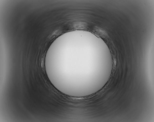 X0000085320705200703091115