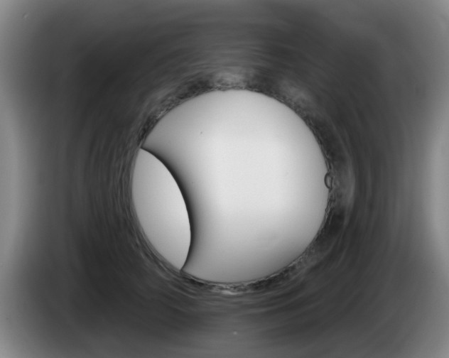 X0000085320706200703091115