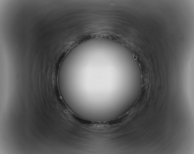 X0000085320708200703091115