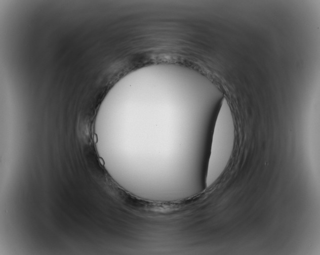X0000085320709200703091115