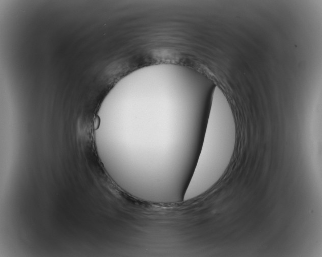 X0000085320713200703091115