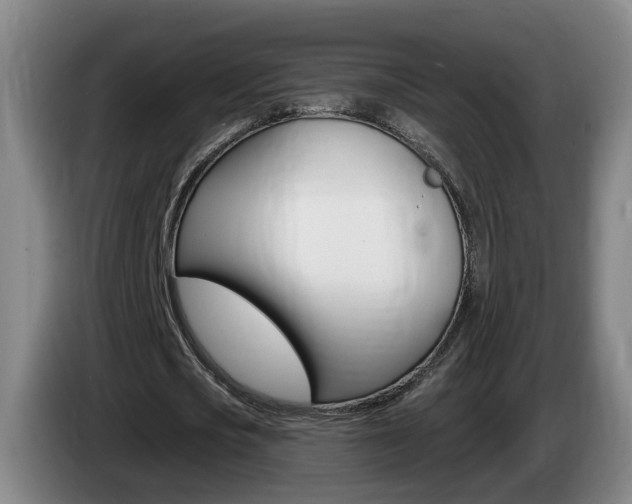 X0000085320721200703091114