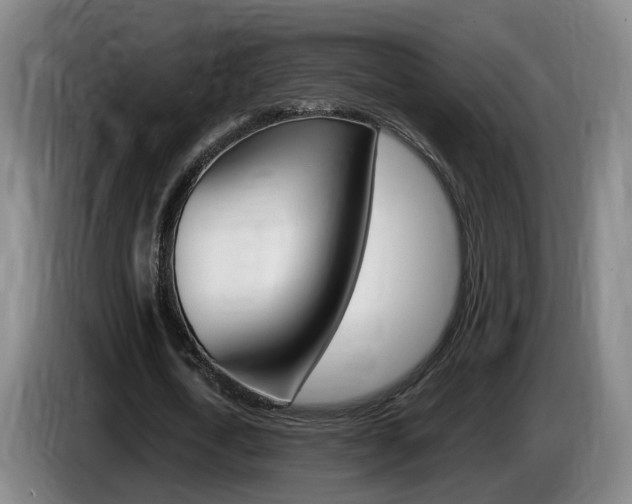 X0000085320722200703091114