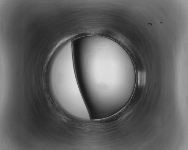 X0000085320723200703091114