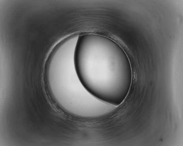 X0000085320724200703091114