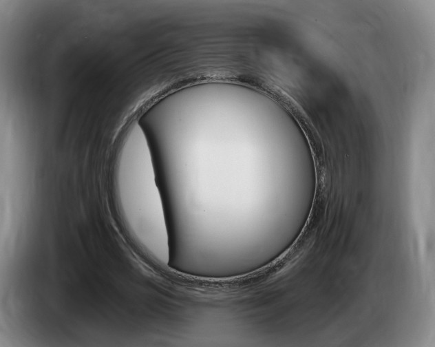 X0000085320725200703091114