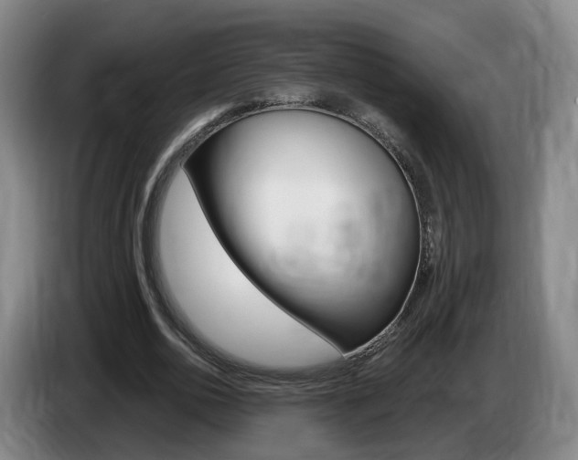 X0000085320726200703091114