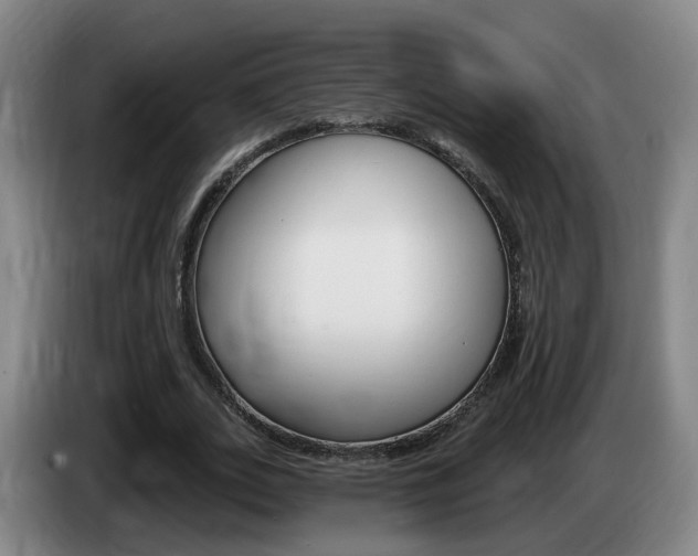 X0000085320727200703091114