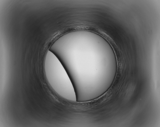 X0000085320729200703091114