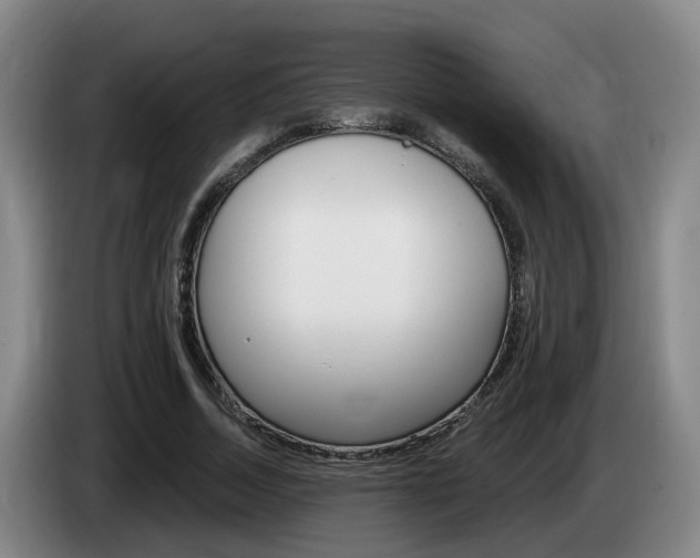 X0000085320730200703091114