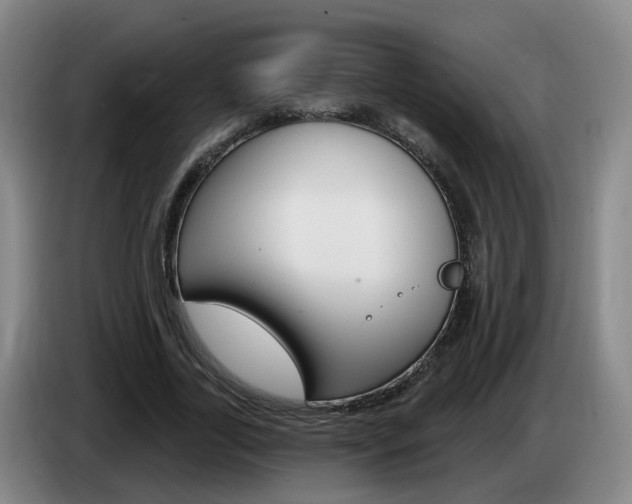 X0000085320731200703091114