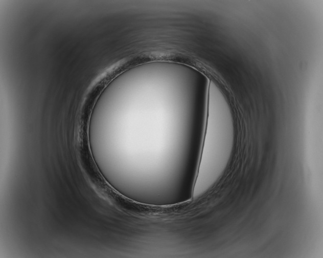 X0000085320732200703091114