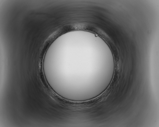 X0000085320733200703091114