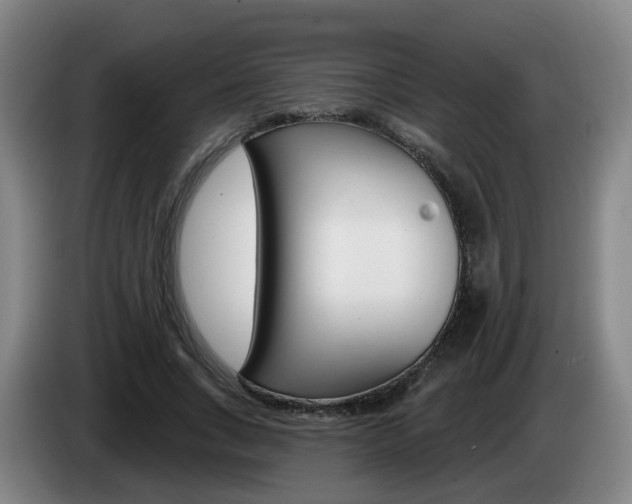 X0000085320735200703091114