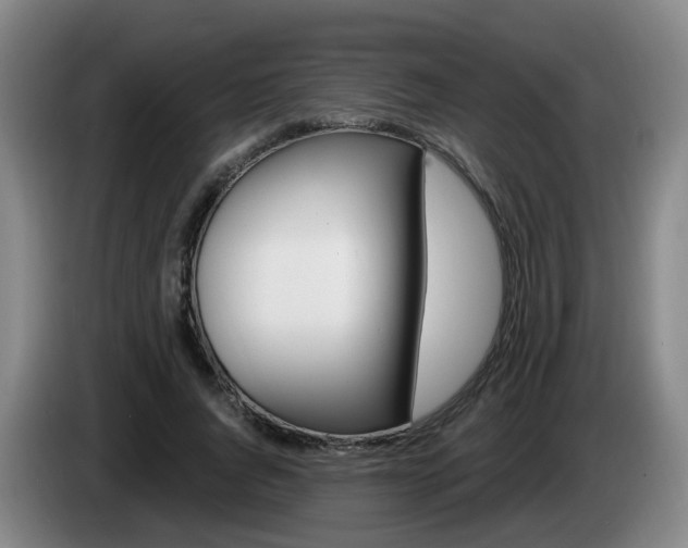 X0000085320736200703091114
