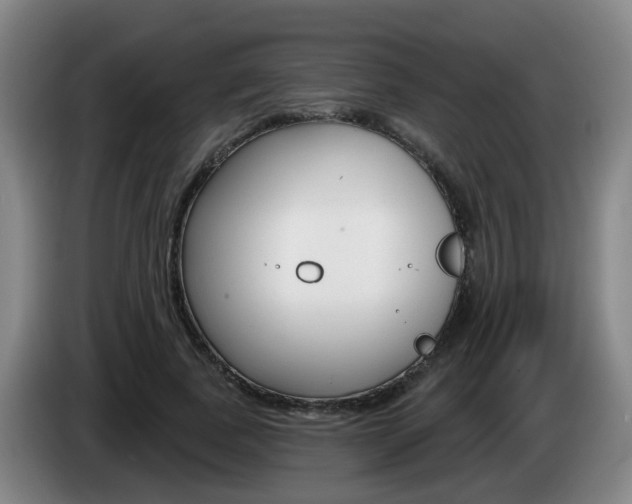 X0000085320739200703091114