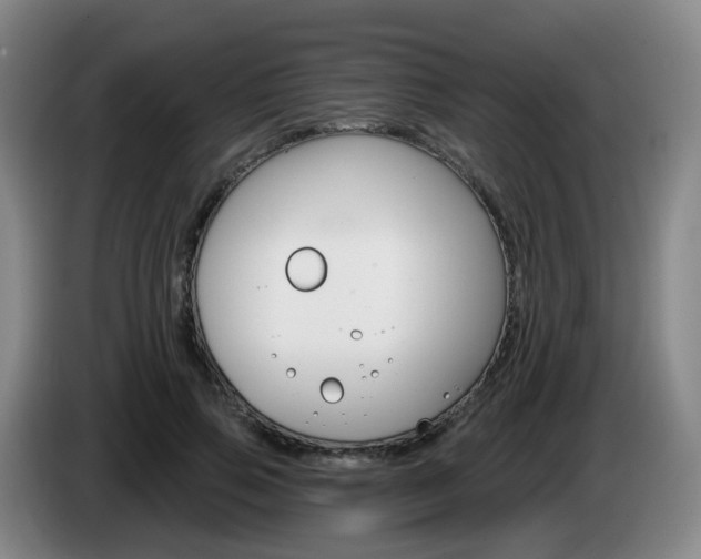 X0000085320741200703091114