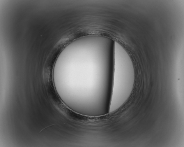 X0000085320744200703091114