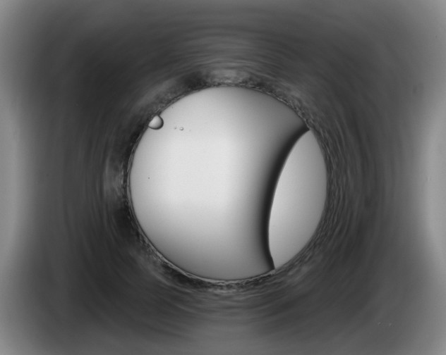 X0000085320745200703091114