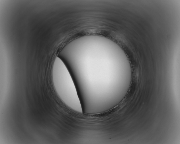 X0000085320746200703091114