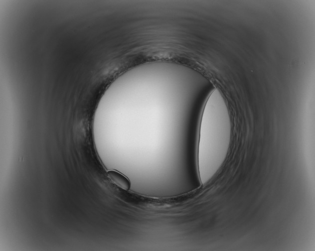 X0000085320747200703091114