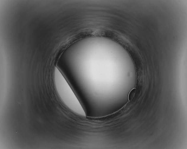 X0000085320748200703091114