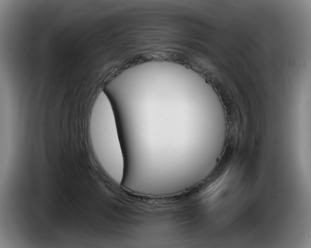 X0000085320749200703091114