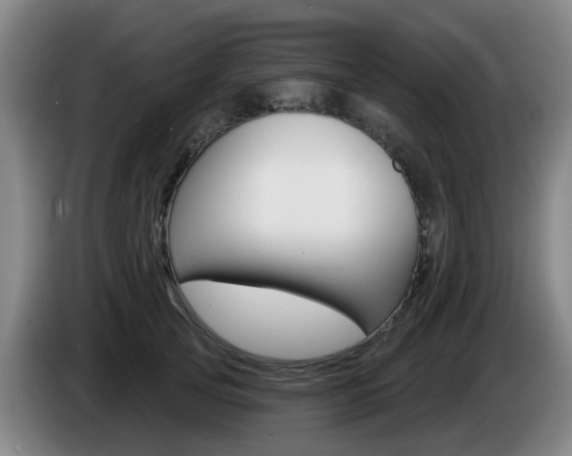 X0000085320753200703091115