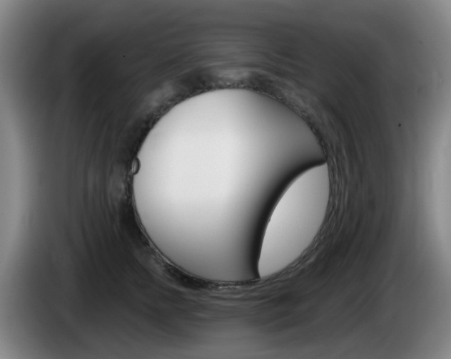 X0000085320758200703091115