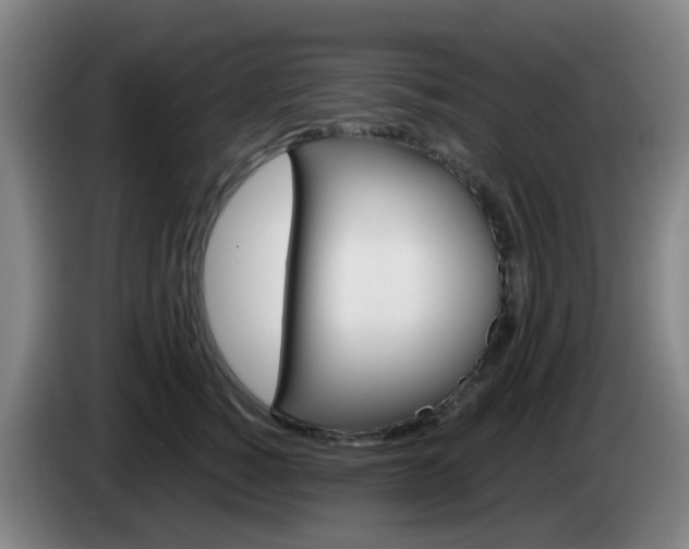 X0000085320760200703091115